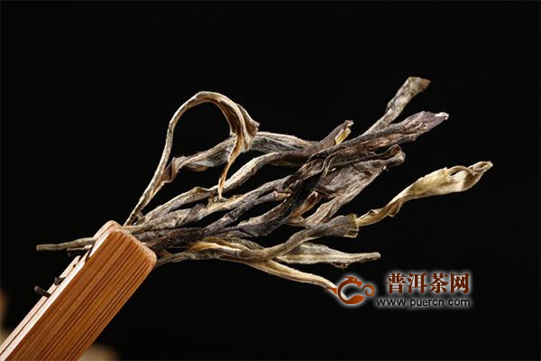长得像动漫欧美性狂猛aaaaaa，现实中的二次元世界探索